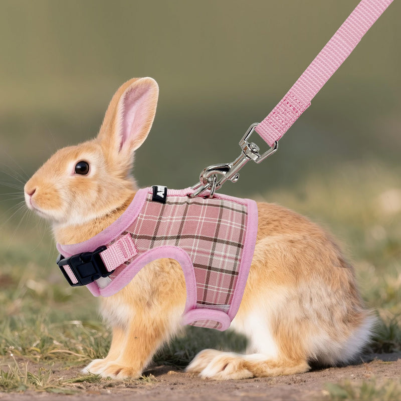 AIITLE Breathable Rabbit Harness and Leash Set - Plaid Pattern Padded Vest with Magic Tape Design, Dual D-Rings, Adjustable for Small Animal Pets, Indoor Outdoor Training Camping, Pink M - PawsPlanet Australia