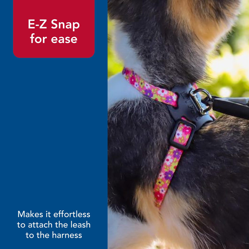 Coastal - Li’l Pals Adjustable Kitten Harness and Leash Combo - Pink and Purple Daisy Multi-Color - 3/8” x 6"-10” - PawsPlanet Australia