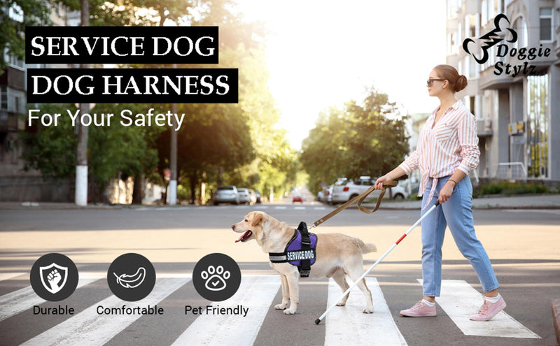 Doggie Stylz Service Dog Harness - Durable & Reflective, Adjustable for Dogs XXS to Large Sizes - Comfortable Working Dog Vest Girth 12-16" Black - PawsPlanet Australia