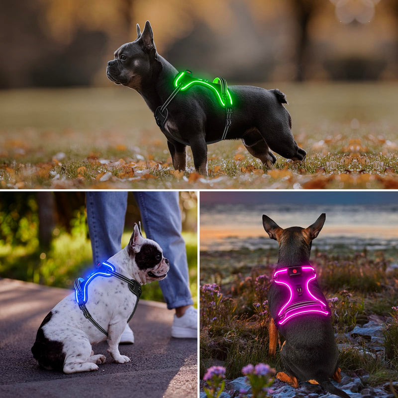 Light Up Dog Harness, No Pull LED Dog Harness with Handle, Rechargeable Lighted Safety Vest for Small Medium Large Dogs, Adjustable Soft Dog Lights for Night Walking Black-Green L - PawsPlanet Australia