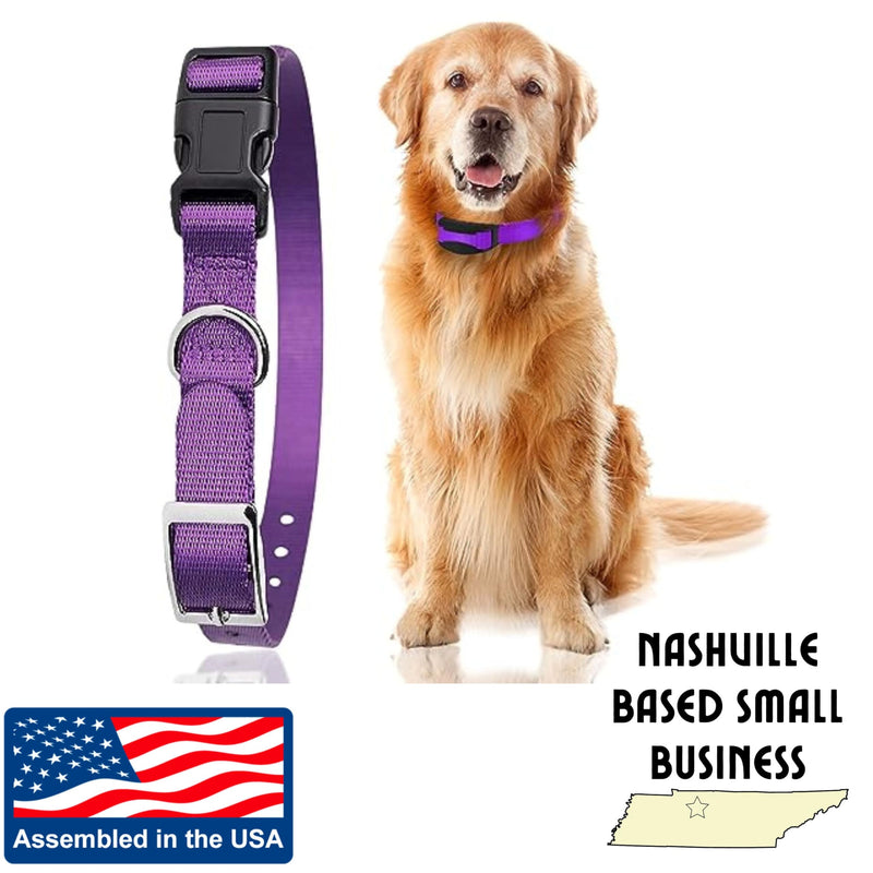 e-Collar Replacement Strap - Shock & Fence Collar Replacement, Compatible with Most Brands (3/4", Pink) 3/4" - PawsPlanet Australia