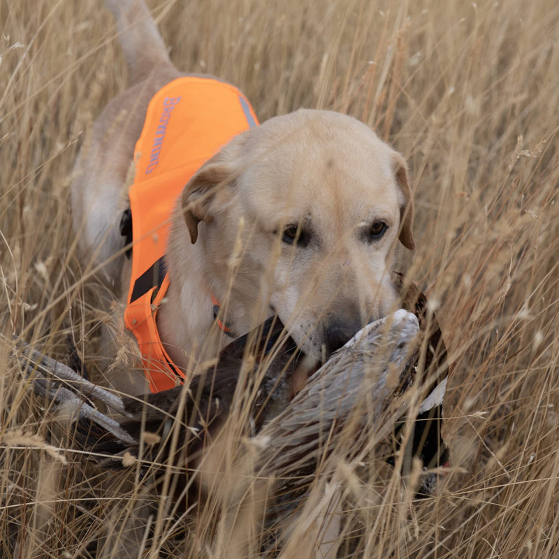 Browning Pet Vests, Hi Vis Safety Vests for Dogs, Safety Orange, Medium, Adjustable Coverage - PawsPlanet Australia