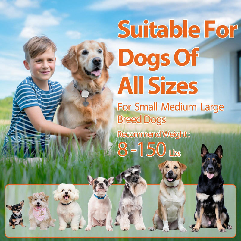 Dog Training Device No Shock, Dog Training Collar Clip with Remote, Safe & Humane Vibrating Clicker, One-Touch Operation, for Beginner Pet Trainer for 5-15 lbs Small Medium Large Dogs - PawsPlanet Australia