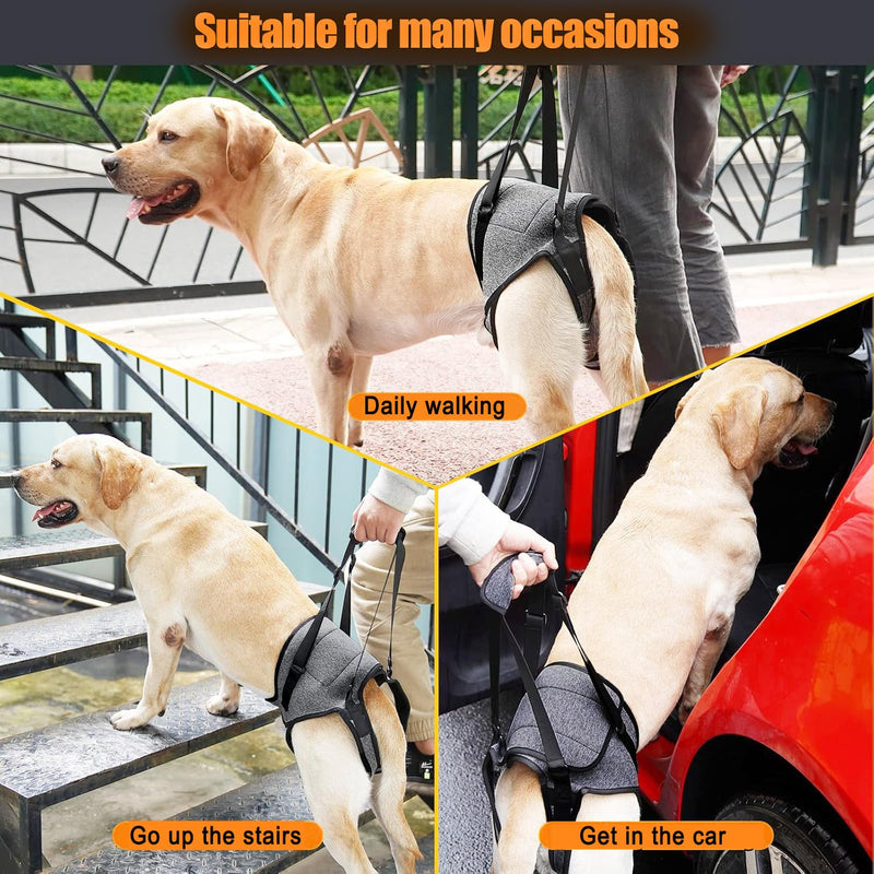 Dog Sling for Large Dogs Hind Leg Support Dog Lift Harness Adjustable Durable Help em up Harness for Weak Back Legs, Elderly, Injured, Senior, Arthritic, ACL Recovery Pet L Grey - PawsPlanet Australia
