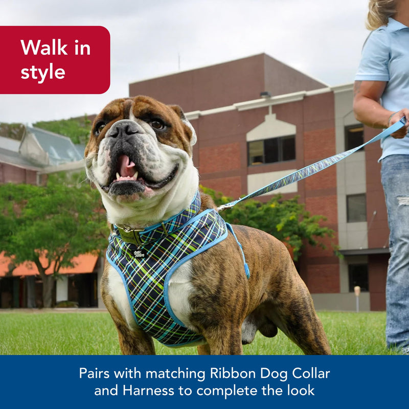 Coastal Pet Ribbon Dog Leash - Contemporary Stylish Look - Durable Fade-Resistant Nylon Material - Perfect for Dogs Brown Paws and Bones, 5/8" x 06' s - PawsPlanet Australia