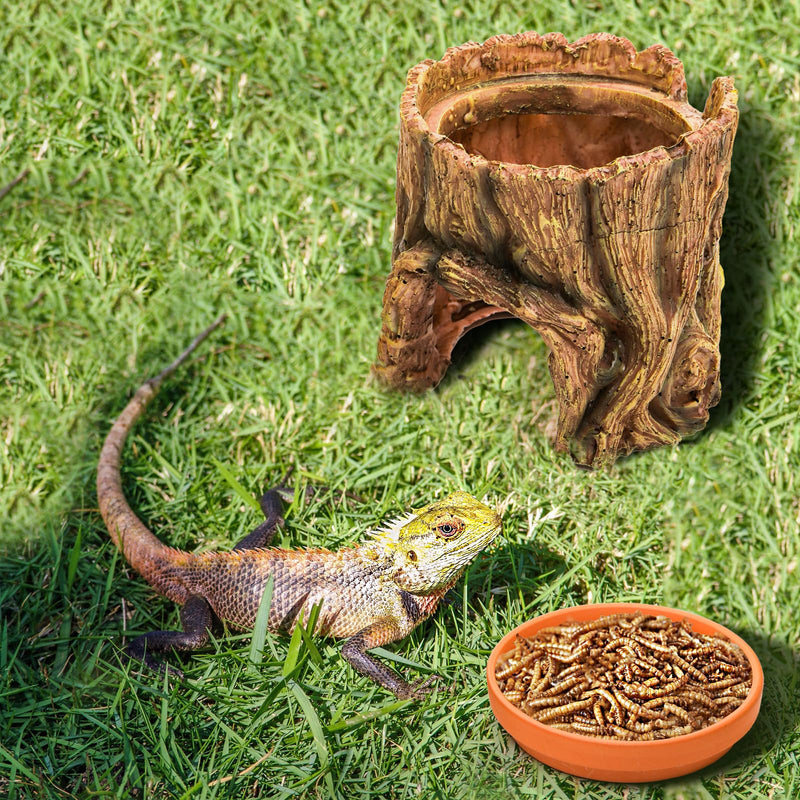 Reptile Hide Cave Resin, 2 in 1 Reptile Hideout Cave and Food Tray, Reptile Shelter with Detachable Food Bowl, Leopard Gecko Keeper Habitat Help Shedding for Amphibian, Snake, Lizard, Turtle - PawsPlanet Australia