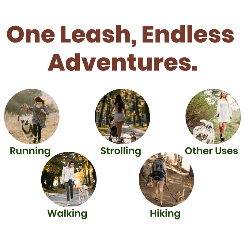 ?????????? ???????? Hands Free Dog Leash for 2 Dogs – Dual Bungee Running Leash with Adjustable Waist Belt, Tangle-Free 360° Swivel, Shock Absorbing, Padded Handles & Zipper Pouch