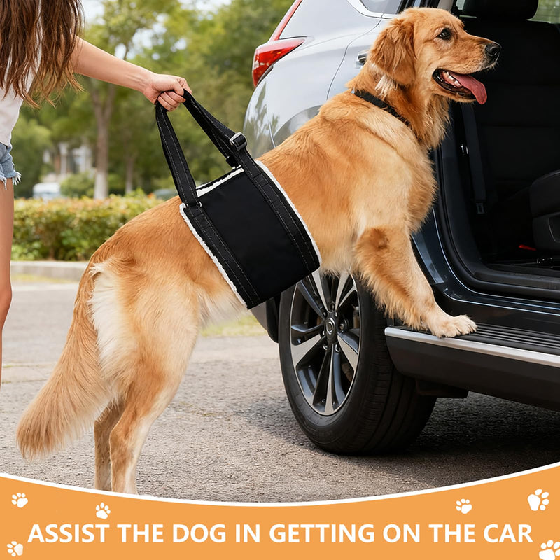 Dog Carrying Aid, Adjustable Walking Aid and Rehabilitation Carry Strap for Various Sizes, Safety Support for Disabled, Injured or Older Dogs, M