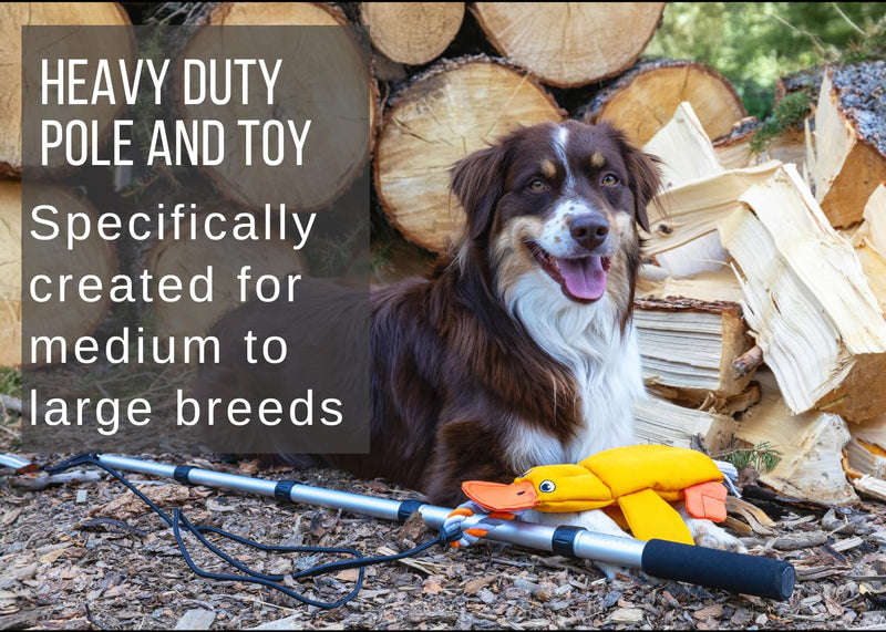 Flirt Pole for Dogs Heavy Duty - Multi-Sensory Tough Chase Toy for Medium & Large Breeds – Extra Strong 39" Dog Teaser Wand for Backyard Play, Training and Interactive Fun (Duck) Duck - PawsPlanet Australia