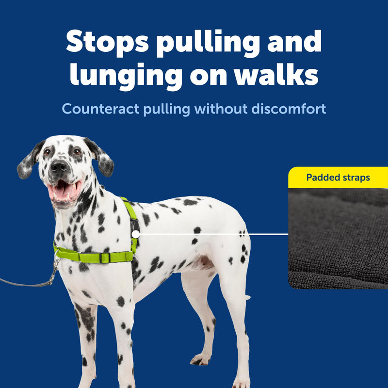 PetSafe Easy Walk Deluxe Dog Harness, No Pull Dog Harness – Perfect for Leash & Harness Training – Stops Pets from Pulling and Choking on Walks – Large, Apple Large (Pack of 1) Apple Green - PawsPlanet Australia
