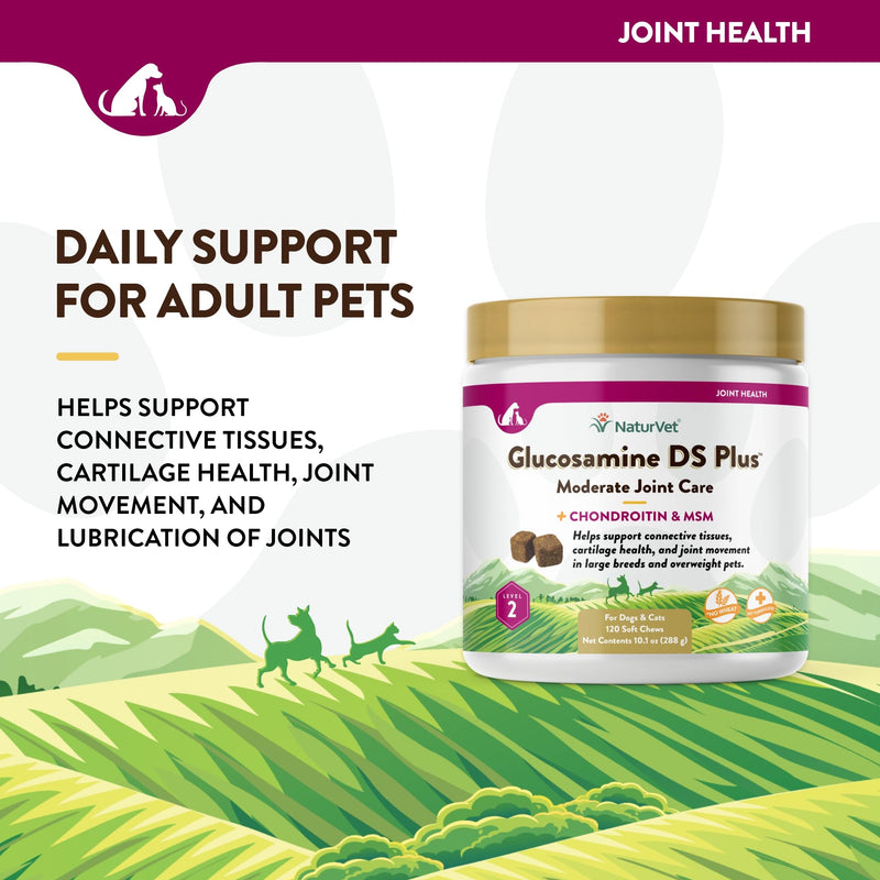 NaturVet – Glucosamine DS Plus - Level 2 Moderate Care – Supports Healthy Hip & Joint Function – Enhanced with Glucosamine, MSM & Chondroitin – for Dogs & Cats–120 Soft Chews Glucosamine-DS Level 2 120 Soft Chews