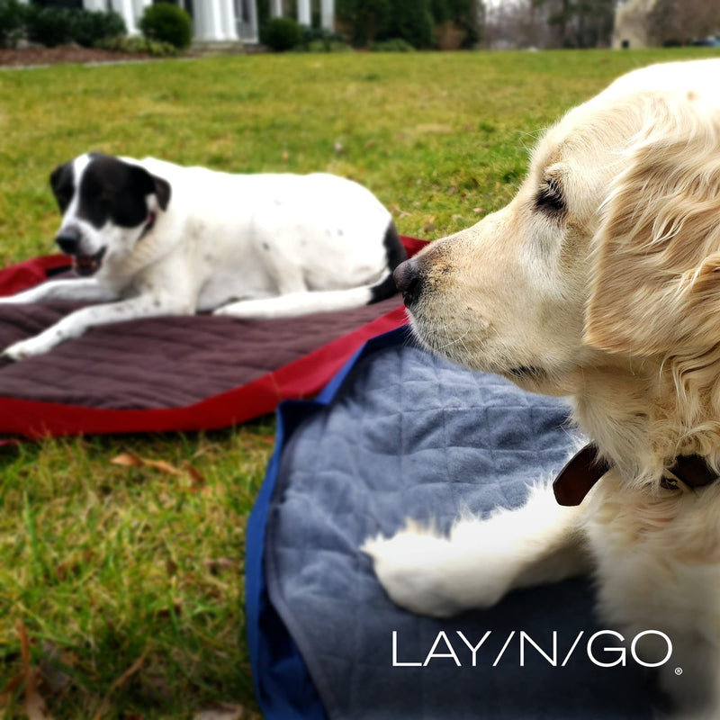 Lay-n-Go 3-in-1 Portable Large Dog Bed - Comfortable & Fleece-Lined w/Wide Strap, Zippered Pocket & More - Machine Washable, Foldable Dog Bed (44", Navy/Gray) - PawsPlanet Australia