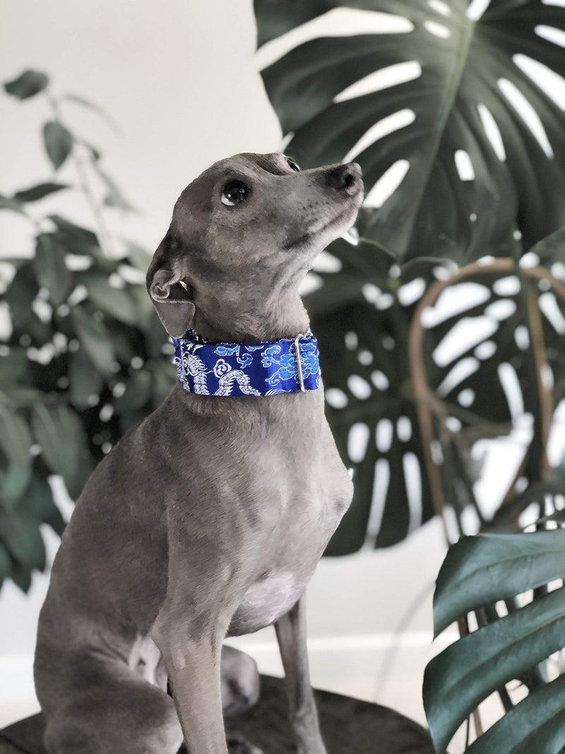 Satin Lined Martingale Collar 1.2" Wide for IG Italian Greyhound Whippet Puppy Collar Other Breeds with Similar Neck (8.5"-11.5") Blue M 8.5"-11.5" - PawsPlanet Australia
