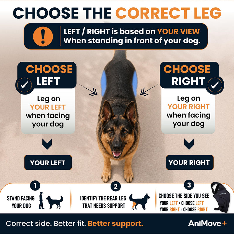 Hybrid Dog Knee Brace for Back Leg - ACL CCL and Arthritis Support with Anti-Slip Connector Strap - Hind Leg Brace for Small to Large Dogs L- LEFT LEG