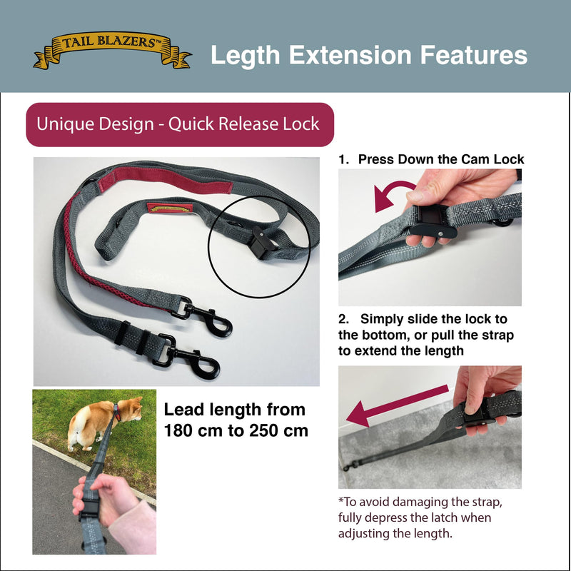 Retractable Dog Lead – Extendable Slip Lead for Small, Medium & Large Dogs, Hands-Free Anti Pull Leash with all harness Compatibility 1.5 to 2.5M Red.Grey One Size - PawsPlanet Australia