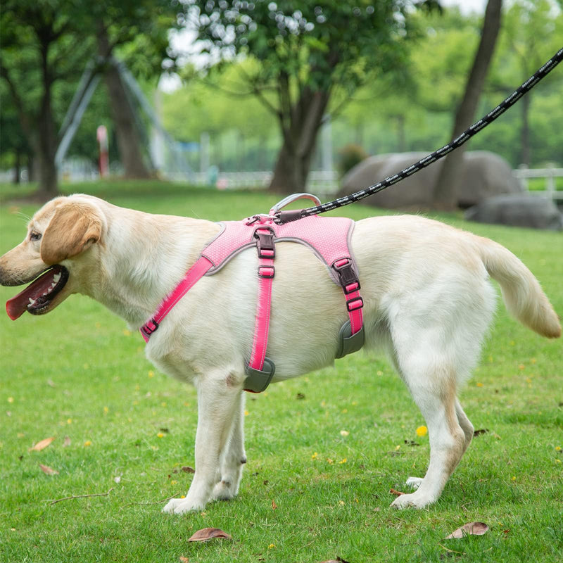 BELPRO Multi-Use Support Dog Harness, Escape Proof No Pull Reflective Adjustable Vest with Durable Handle, Dog Walking Harness for Big/Active Dogs (Pink, L) Pink L (Pack of 1) - PawsPlanet Australia