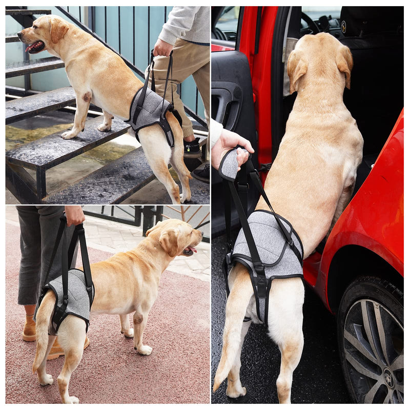 Dotoner Dog Lifting Harness, Dog Support Harness for Back Legs, Soft Support Sling for Injured Disabled Small, Medium Large Dogs, Sling for Back Legs, Lift Support Harness (S, Grey) S