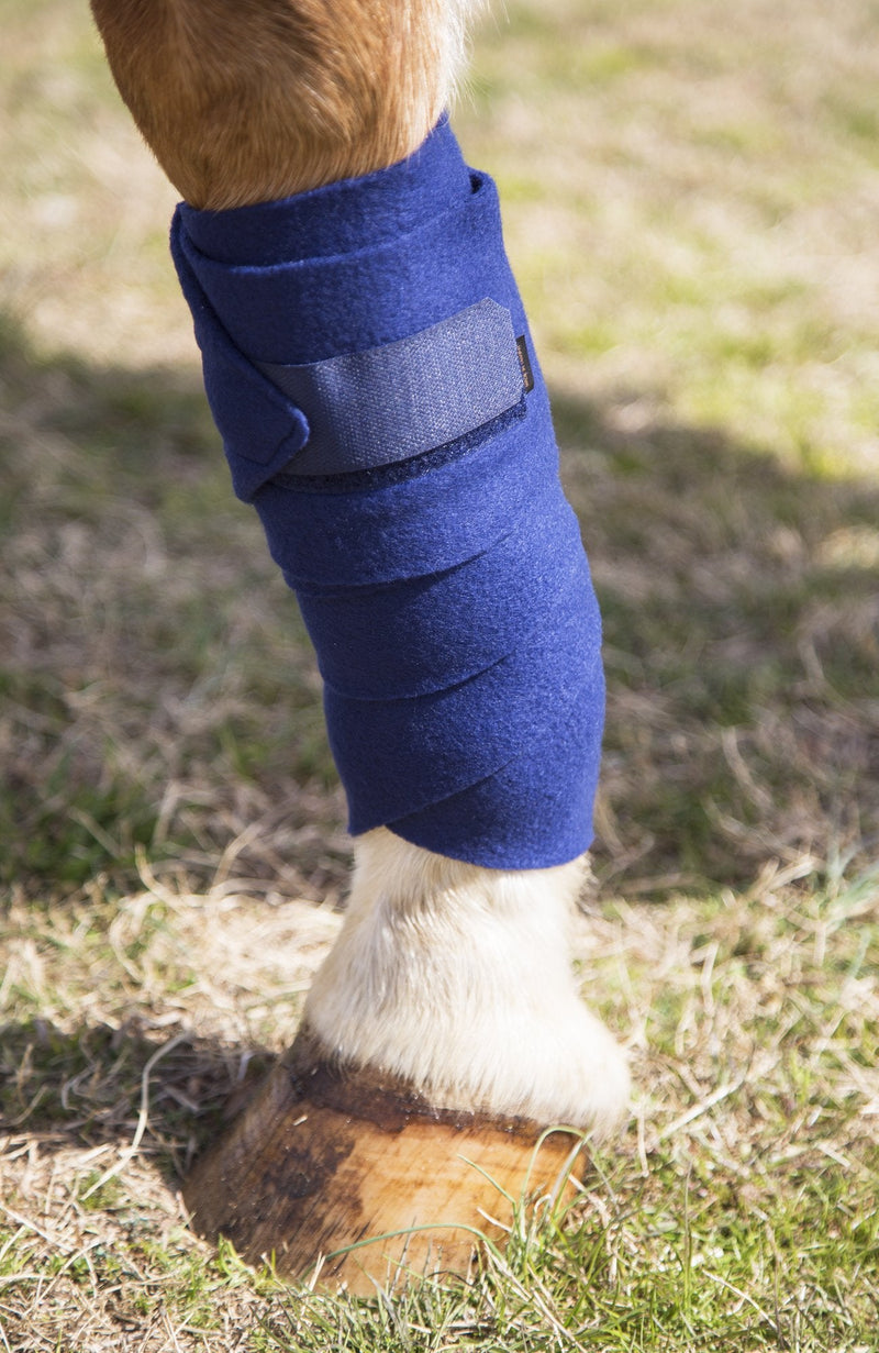 Intrepid International Polo Wraps for Horses Set of 4 Cotton Bandage Wrap, Horse Leg Wraps, Vet Wrap for Horses, Horse Size, Exercise Training Bandage Black - PawsPlanet Australia