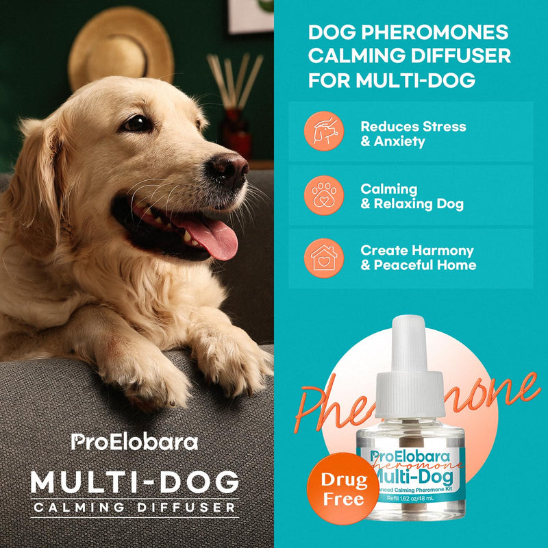 Dog Calming Pheromone Diffuser: Dog Calming Pheromones Plug Diffuser - Reduces Stress & Anxiety Calming Pheromone Diffuser for Dogs - Calm Dogs 60 Supply BlueW