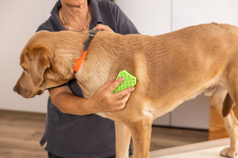 Wahl Moser Sheddy Rubber Brush Green - PawsPlanet Australia