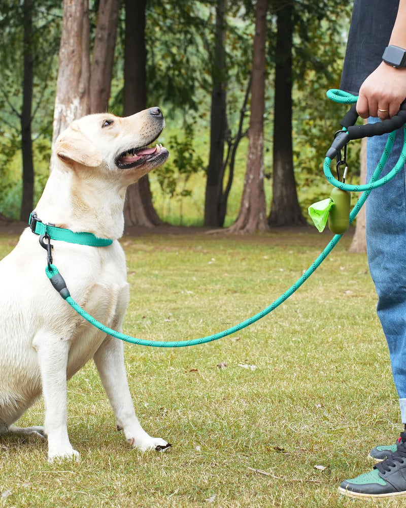 Dynmeow Reflective Dog Collar and Leash Set, 6FT Strong Climbing Rope Leash with Padded Handle, Adjustable Pet Collar with Soft Neoprene Padding for Medium Large Dogs, Teal, M Medium (Pack of 1) Teal, Climbing Rope