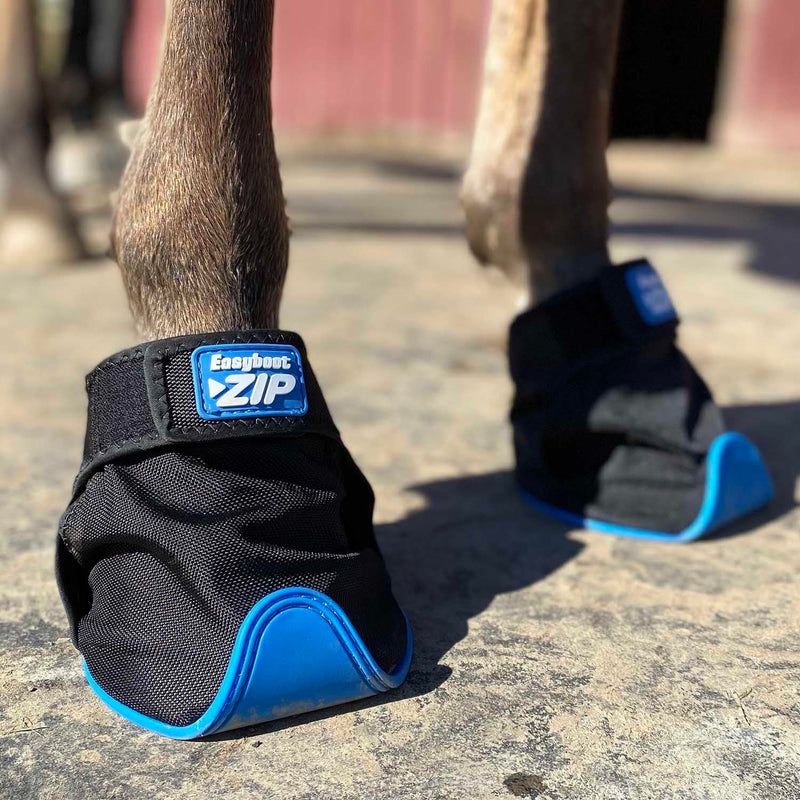 Easyboot Zip 3 - PawsPlanet Australia