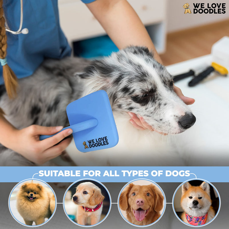 We Love Doodles Large Slicker Brush for Dogs & Dog Grooming Scissors Kit - PawsPlanet Australia