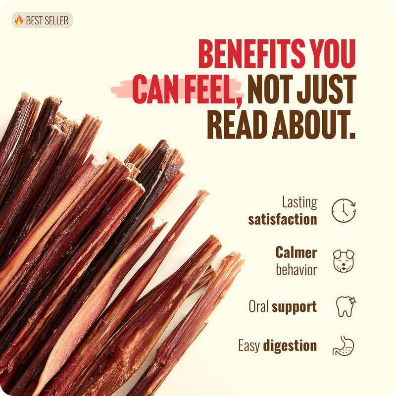 Natural Farm Bully Sticks (6 Inch, 30 Pack), Thin Pizzle Pixie Beef Treats, Grain-Free, High Protein, Best Rawhide Alternative for Small, Puppies or Senior Dogs 30 Count (Pack of 1) - PawsPlanet Australia