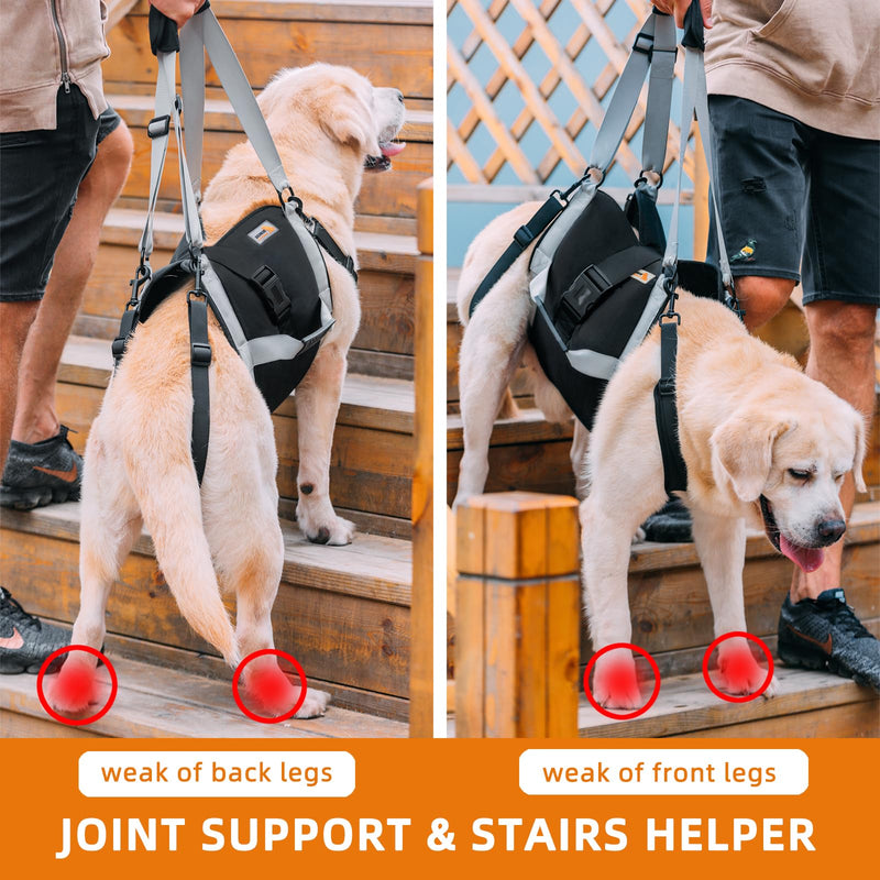 Dog Lift Harness for Large Dogs,Full Body Dog Sling Carrier with Handle,for Up Stairs/Back Legs Support/Dogs Joint Injuries/Arthritis/Nail Clipping L - PawsPlanet Australia