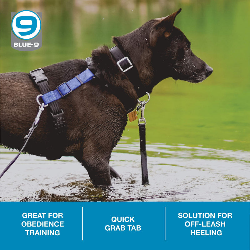 Blue-9 Dog Training Leash, 9 Inch Tab Lead for Obedience, Recall, and Agility Training, Made in The USA Red - PawsPlanet Australia
