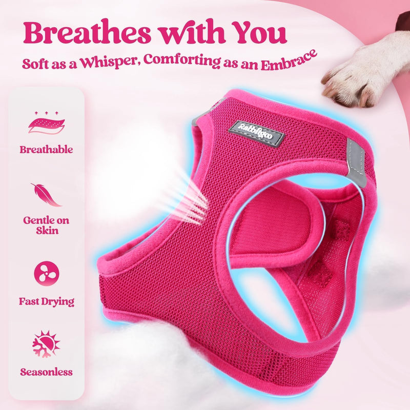 rabbitgoo Dog Harness Small Sized and Leash Set, Step in Soft Light Puppy Vest, Breathable Mesh Pet Harness, Reflective for Safe Easy Walking, Rose Red S S (Chest: 15.1 - 16.5") - PawsPlanet Australia