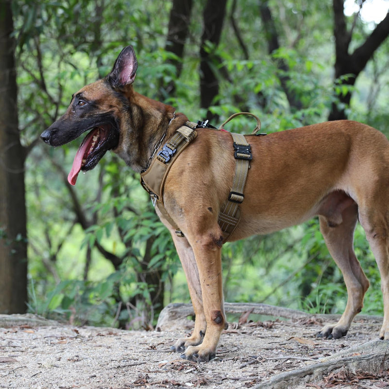 Dog Strap Harness with 4 x Metal Buckles,for X-Large Sized Dog X-Large Brown - PawsPlanet Australia