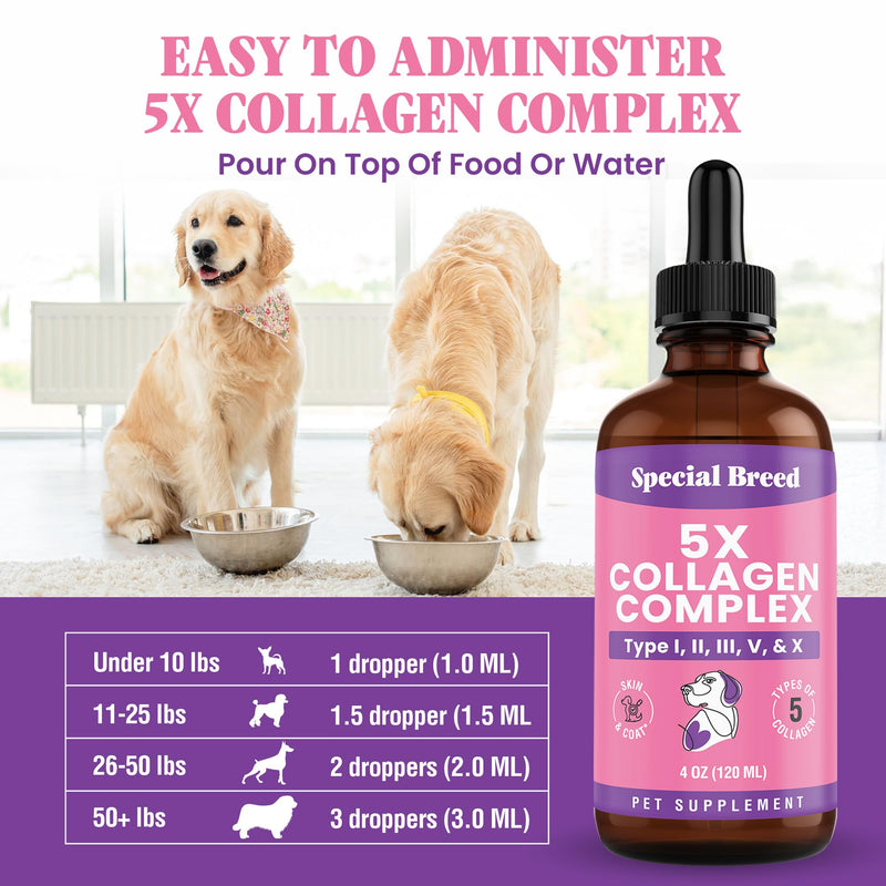 Premium Collagen for Dogs - Liquid Support for Joints, Skin, Coat, Bone, Immune System & HIPS - Collagen Supplement - Made in USA - 4oz 4 Ounce
