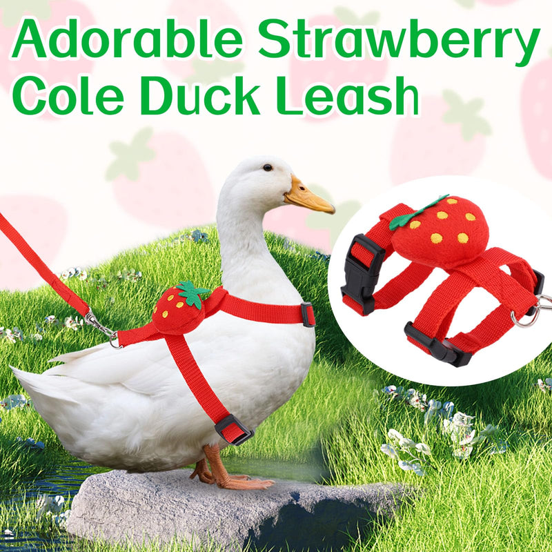 Duck Harness Leash, Duck Leash and Harness Set Cute Strawberry Design Adjustable Pet Walking Rope for Chicken Puppy Bunny Small Animals (S) S - PawsPlanet Australia