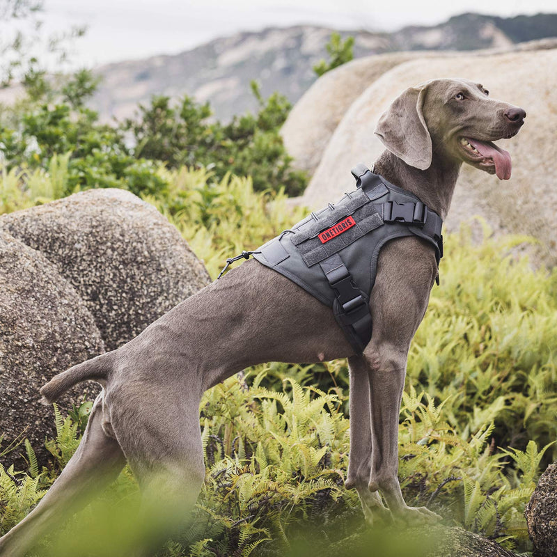 OneTigris Dog Harness, Adjustable Tactical Dog Harness with Handle Full Body Dog Vest for Hiking Training Outdoor Dogs(Grey,Small) S Grey - PawsPlanet Australia