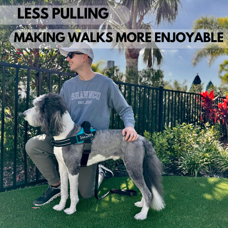 ShawnCo Essential Pro Dog Harness, No-Pull Pet Vest with 3 Leash Clips and Removable, Reflective Side Patches, Adjustable and Padded Harness for Small, Medium and Large Dogs (Oceanic Blue, S) Oceanic Blue - PawsPlanet Australia