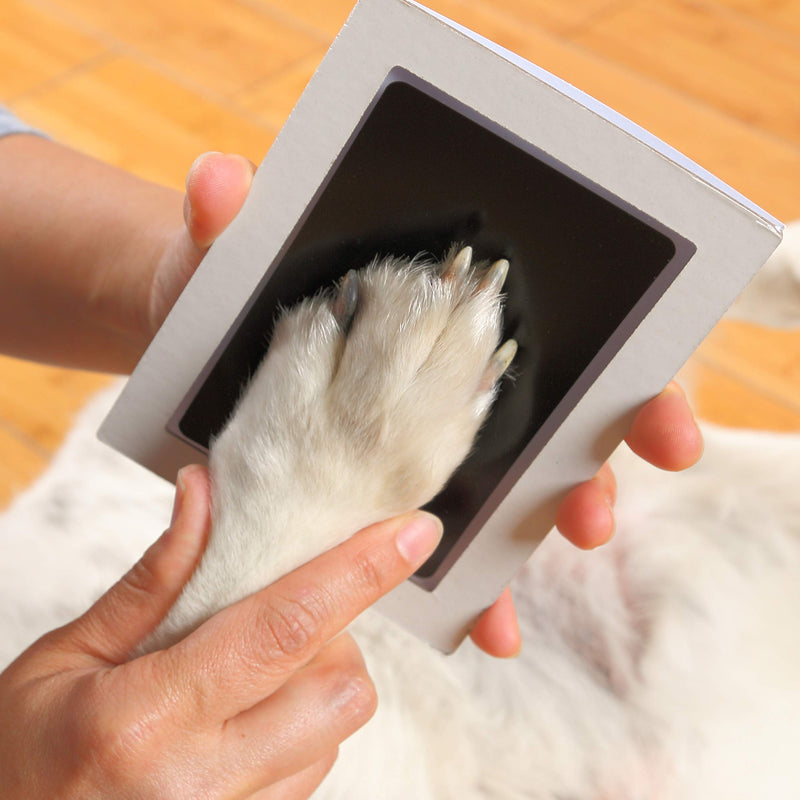 Green Pollywog | Extra-Large Clean Touch Inkless Ink Pad for Pets | Paw/Nose Prints for Dogs & Cats Non-Toxic | Paw Print Stamp Kit | Dog Paw Print Kit | Cat Footprint Keepsake (1-Pack) Paw Print Stamp Kit (Pack of 1) - PawsPlanet Australia