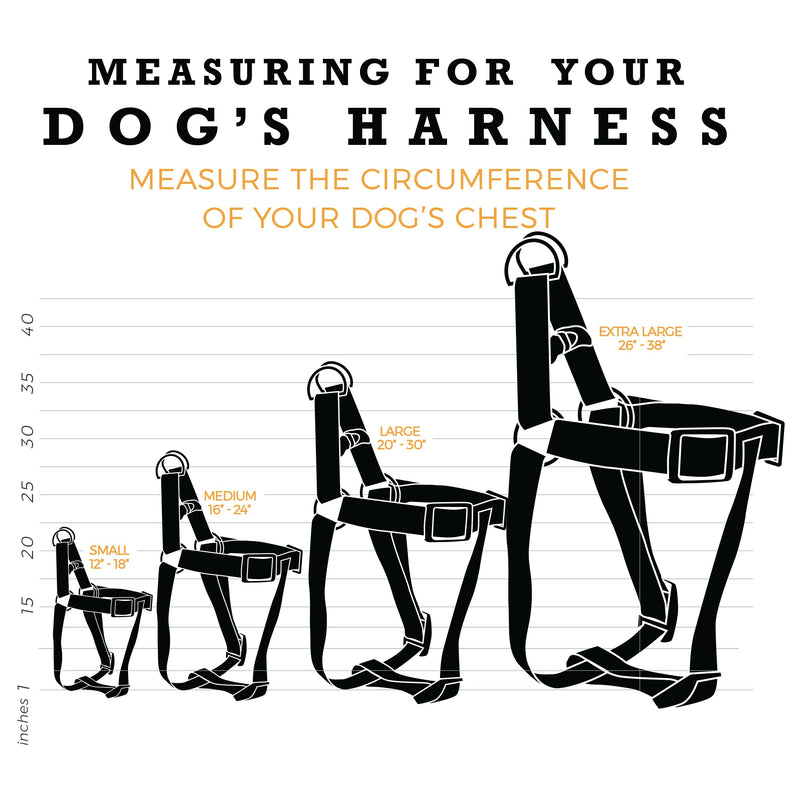 Wolfgang Premium No-Pull Dog Harness for Small Medium Large Dogs, Made in USA, ShatterShapes Print, Large (1 Inch x 20-30 Inch) Large (1 Inch x 20-30 Inch) - PawsPlanet Australia