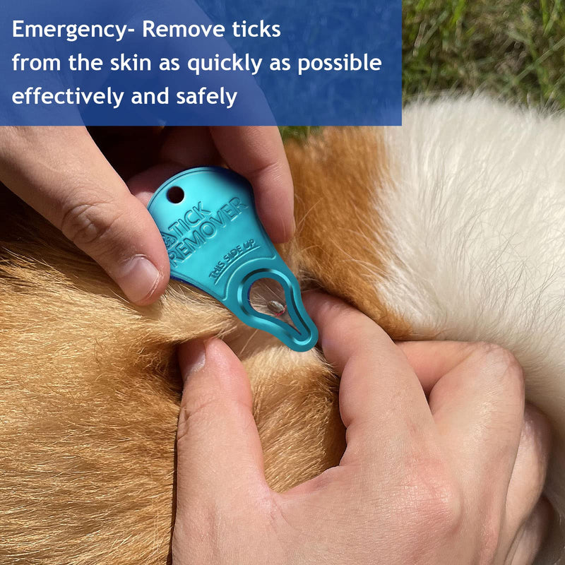 3 Pack Tick Remover Tool Portable, Tick Removal for Pet and Humans, Safe and Reliable, Pain-Free, Essential Tools for Outdoor Activities - PawsPlanet Australia