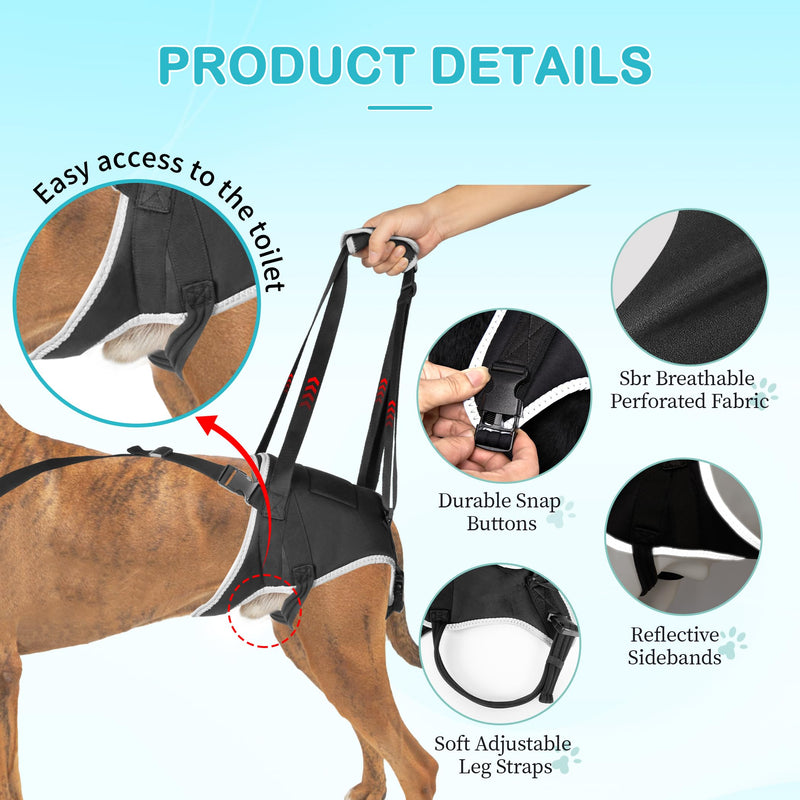 Dog Lift Harness for Large Dogs - for Senior Dogs and Pets with Weak Legs, Upgraded Adjustable Hind Leg Sling Set, Help Dog Go Up and Down The Stairs, L - PawsPlanet Australia