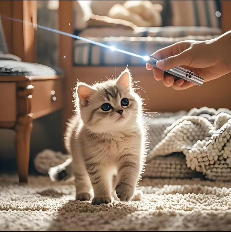 Cat Pointer Toy, LED Light Pointer Cat Toys for Indoor, USB Recharge 3 Light Colors Cat Interactive Toys for Dogs, Cats, Training Chaser Interactive Toy - PawsPlanet Australia