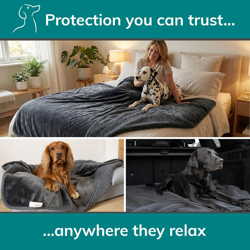 Waterproof Dog Blanket Washable – Dog Waterproof Blanket for Couch, Reversible Sherpa & Microfiber, Thick 460 GSM Dog Blanket Waterproof, 40x47 Dark Gray Flannel/Gray Sherpa Large (40" x 47") - PawsPlanet Australia