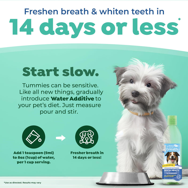 TropiClean Fresh Breath Dog Teeth Cleaning – Dog Dental Care for Bad Breath - Breath Freshener - Water Additive Mouthwash – Helps Remove Plaque Off Dogs Teeth, Advanced Whitening, 473ml 473 millilitre (Pack of 1) - PawsPlanet Australia