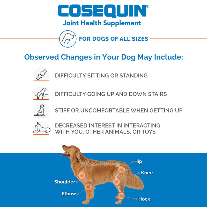 Nutramax Laboratories Cosequin Maximum Strength Joint Health Supplement for Dogs - With Glucosamine, Chondroitin, and MSM, 132 Chewable Tablets chicken flavor 132 count