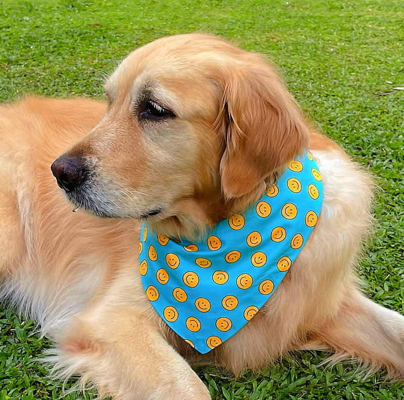 Pet Fashion Colorful Rainbow Bandana with Plastic Snap Button - 1PCS Washable Bandana Double Reversible Scarf Accessories for Small to Large Dog Puppy Cat Rabbit… - PawsPlanet Australia