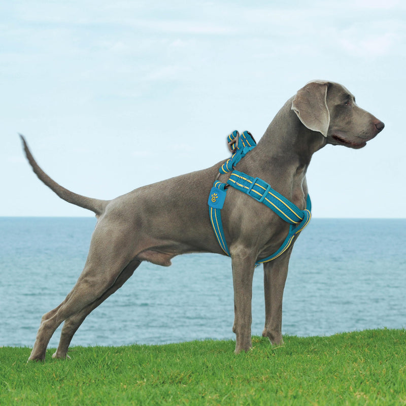 DOCO Solar Air Step-in Reflective Dog Mesh Harness for Walking Medium (Chest: 1" x 20-28") Gray - PawsPlanet Australia