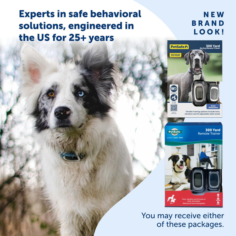 PetSafe 300 Yard Remote Training Collar – Choose from Tone, Vibration, or 15 Levels of Static Stimulation – Medium Range Option for Training Off Leash Dogs – Waterproof and Durable – Rechargeable 1 Dog For Medium/Large Dogs - PawsPlanet Australia