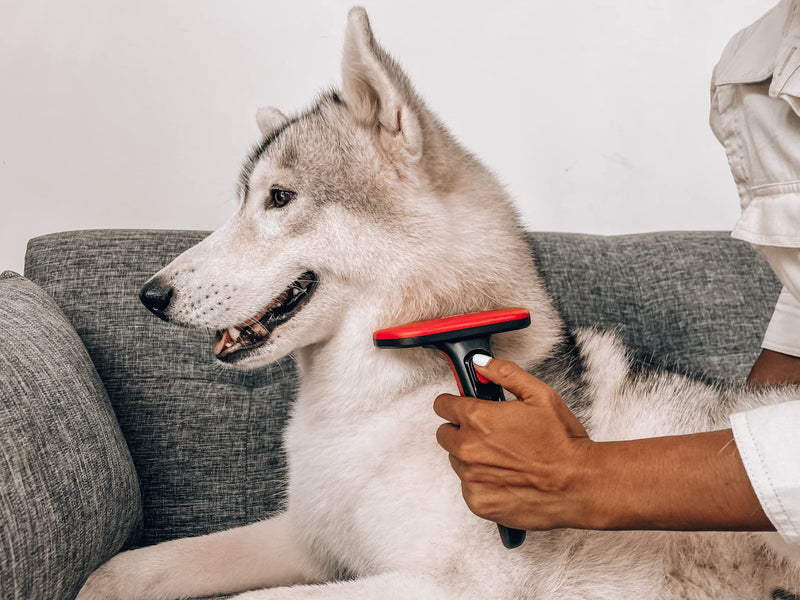 Tuff Pupper Self Cleaning Slicker Brush For Dogs & Cats | One Button Auto Clean | The Ultimate Pet Brush for Removing Loose Fur | Reduces Shedding by up to 95% Deshedding Tool for Long & Short Hair - PawsPlanet Australia