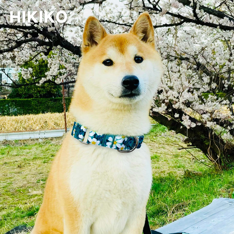 Hikiko Martingale Collar for Dogs with No Buckle Floral Daisy Dog Collar Soft Nylon No Pull Dog Collars for Small Dogs,Green Flower,S Green Flower
