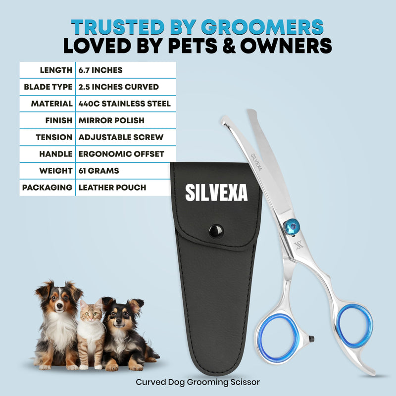 6.5” Curved Pet Grooming Scissors – Professional Dog Hair Cutting Shears with Blue Adjustable Tension Screw & Comfort Grip – Ideal for Face, Ears, Paws & Finishing - PawsPlanet Australia
